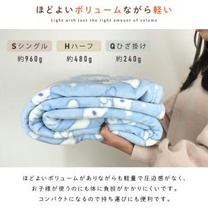毛布 シングル シナモロール ブランケット も...の詳細画像4