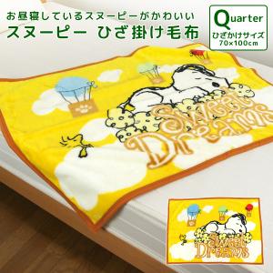 ひざ掛けランキング ギガランキングｊｐ
