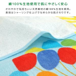 お昼寝ケット はらぺこあおむし 85×115c...の詳細画像2