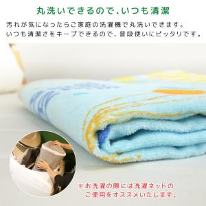 お昼寝ケット はらぺこあおむし 85×115c...の詳細画像5