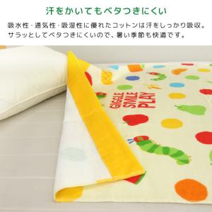 お昼寝ケット はらぺこあおむし 85×115c...の詳細画像3