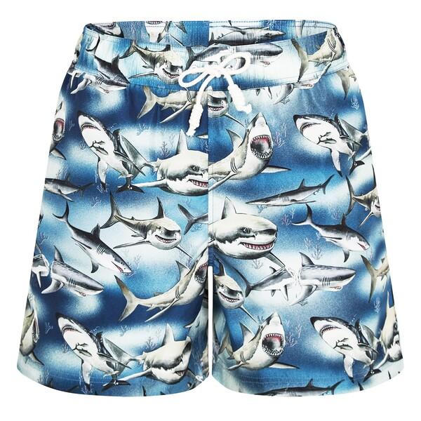 パーム・エンジェルス メンズ ハーフパンツ・ショーツ 水着 Shark Print Swimming...