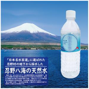 【24本セット】ワケあり・格安・富士山麓 天然...の詳細画像1