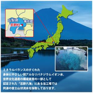 【24本セット】ワケあり・格安・富士山麓 天然...の詳細画像4