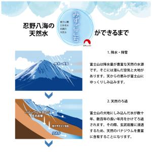 【24本セット】ワケあり・格安・富士山麓 天然...の詳細画像5