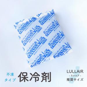 【エアラブ4プラスにピッタリ】 保冷剤 2個セッ...の商品画像