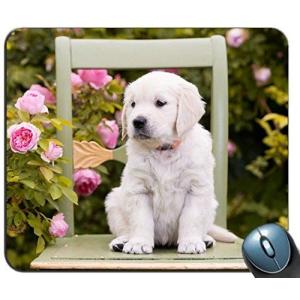 マウスパッド ラブラドールレトリーバーホーム オフィス ゲーミングデスク用ノンスリップラウンドマウスパッド