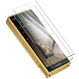 ウォークマン NW-WM1ZM2/NW-WM1AM2 用の フィルム For ミヤビックス SONY ウォークマン WM1シリーズ 保護ガ