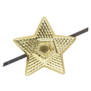 ドイツ軍放出品 ピンバッジ NVA 東ドイツ 空軍 military 記章 DDR 国家