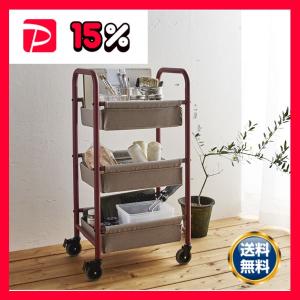 天馬 Fits フィッツケース 27-18 ホワイトクリア 1個 衣類収納 衣類