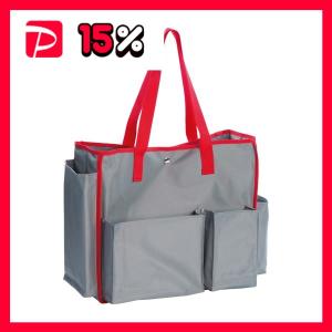 テラモト BMトートバッグS レッド DS-23...の商品画像