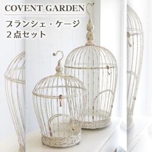 【収納ケース】ラスティパイン・ガラスケース L ラスティ パイン ガラスケースL 木製 コレクション ボックス