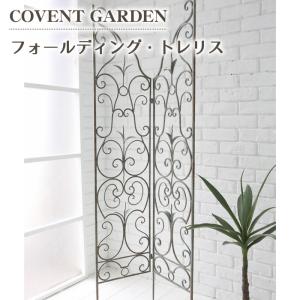 ラスティ パイン ガラスケースL 木製 コレクション ボックス