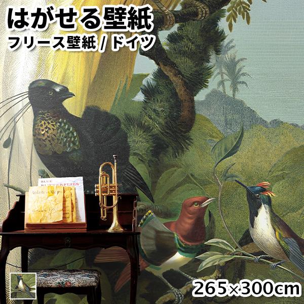 壁紙 輸入壁紙 rasch Curiosity 265x300cm 全1色 はがせる壁紙 貼ってはが...