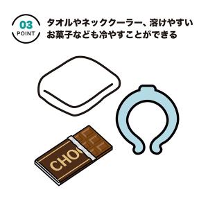 ターフデザイン メガアイスバッグ クーラーバッ...の詳細画像2