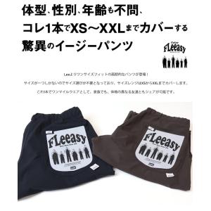 Lee リー FLeeasy フリージー 清涼...の詳細画像3