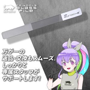 [aurochs] EZ-tools ガラスヤ...の詳細画像4