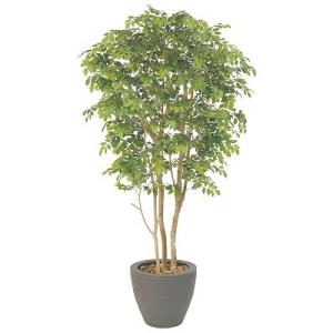 シマトネリコ H1500mm　HBKD-1-005　 インテリアグリーン　オフィスグリーン　観葉植物　フェイクグリーン
