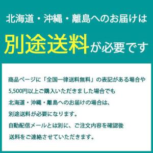ゴールデンリーフ H1500mm HBKD-1...の詳細画像3