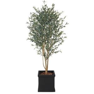 オリーブH1800mm HBKD-1-009　インテリアグリーン　オフィスグリーン　フェイクグリーン　観葉植物