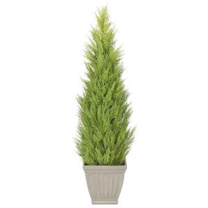 ゴールドクレスト H1500mm HBKD-1-025 観葉植物　インテリアグリーン　フェイクグリーン　オフィスグリーン