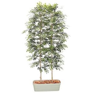 トネリコパーテーション H1800mm HBKD-2-027　観葉植物　インテリアグリーン　フェイクグリーン　オフィスグリーン