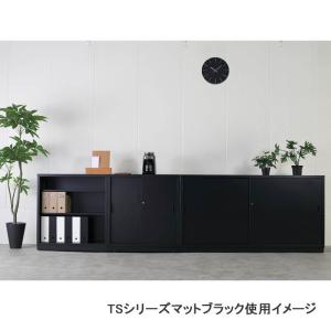 TSシリーズ スチール収納53浅型スチール引戸...の詳細画像2