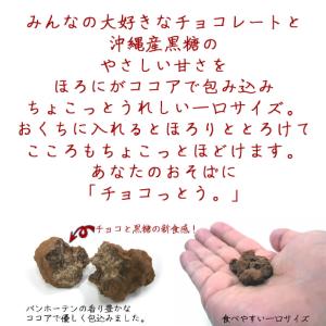 チョコっとう。 プレーン味 40g 沖縄 黒糖...の詳細画像2