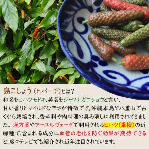 ヒバーチ 20g 沖縄 調味料 ヒハツ フィフ...の詳細画像2
