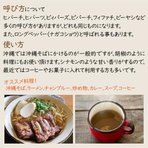 ヒバーチ 20g 沖縄 調味料 ヒハツ フィフ...の詳細画像3