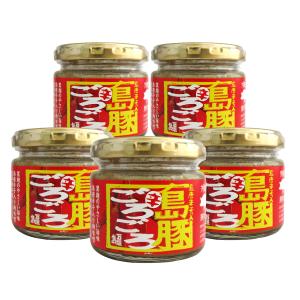 島豚ごろごろ 辛 島唐辛子 120g×5個セット 送料無料 沖縄 ご飯のお供 唐辛子味噌 肉味噌 肉みそ あんだす アンダンス ゴーヤカンパニー