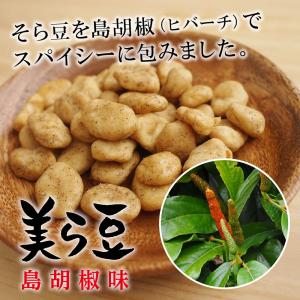美ら豆 2種ミックス 12包セット(黒糖味 1...の詳細画像2