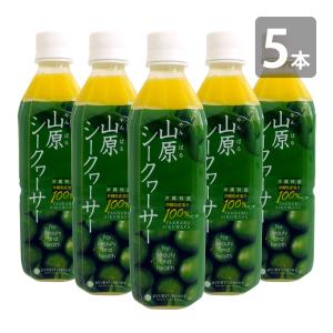 ぎゅっと　シークヮサー　100 原液 ぎゅっとシークワーサー 原液 500ml×6本セット シークヮーサー