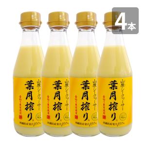 シークワーサー100 500ml×3本 JAおきなわ シークヮーサー : くすりの