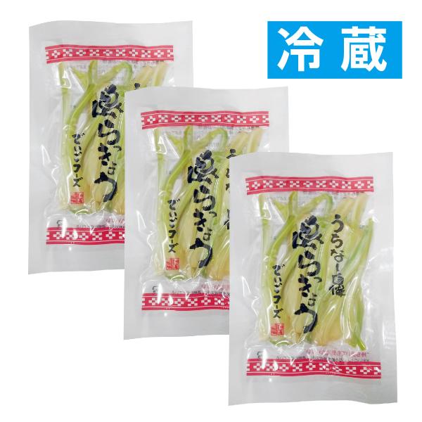 島らっきょう 塩漬＜冷蔵＞ 50g×3袋セット 送料無料 島ラッキョウ おつまみ 沖縄野菜 でいごフ...