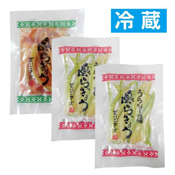 島らっきょう 50g （塩2・キムチ1）3袋セット ＜冷蔵＞ 送料無料 島ラッキョウ おつまみ キム...