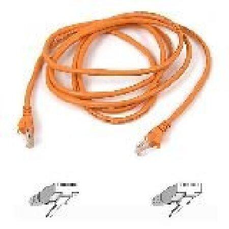 送料無料Belkin Cat5e Horizontal Utp Cable - 1000ft - O...