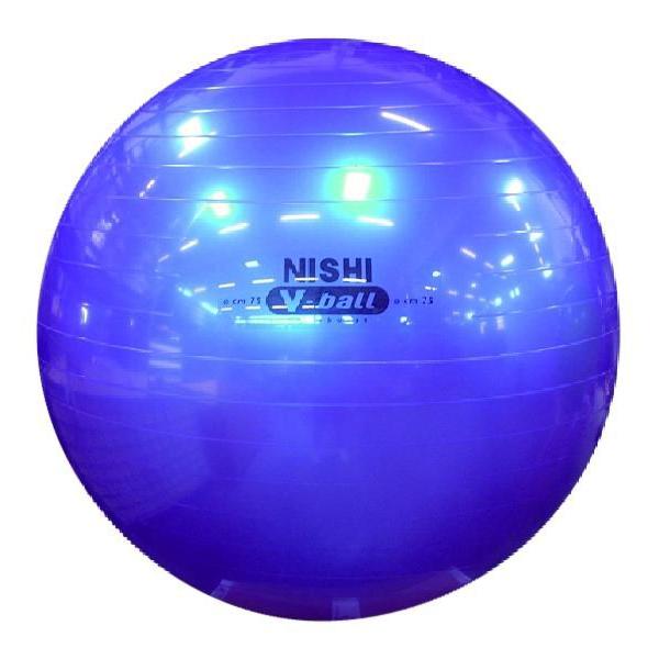 ニシスポーツ ノンバーストVボール（75cm） 陸上 ランニング ニシトレーニング用品 NT5874...