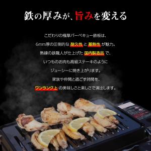 イワタニ 炙りや 炙りや2 専用 鉄板 グリル...の詳細画像3