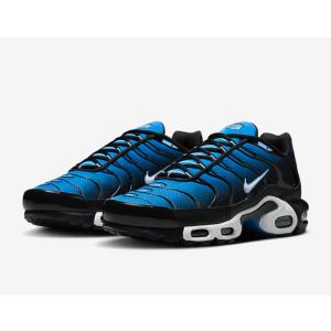 NIKE AIR MAX PLUS  ナイキ エアマックス プラス　DM0032 402｜リアックスインターナショナル pro