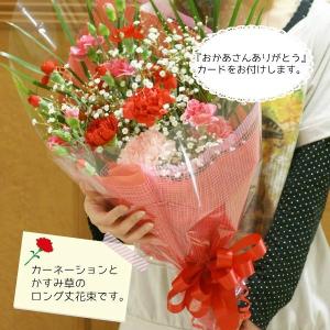 母の日 5月10日から5月12日のお届け【送料無料】【生花・花束】カーネーションとかすみ草の花束  FL-MD-02