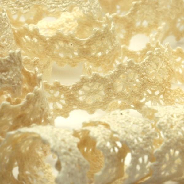 SIC オーガニックコットントーションレース 約10mm キナリ 1メートル 服飾 手芸 SHIND...