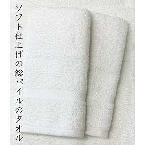 のし紙名入れ 日本製 200匁 (100本以上...の詳細画像3