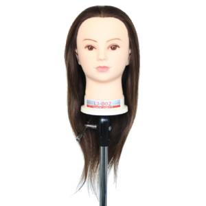 レジーナ アップウィッグ LJ-002 Ver.2 栗色