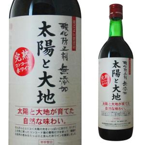 箱入 登美 ノーブルドール 2009年 750ml 貴腐ワイン 国産 ワイン 酒