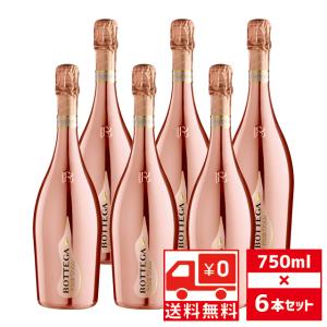 モエ アンペリアル エ シャンドン 6本飲み比べセット 正規品 モエ アンペリアル エ シャンドン 6本飲み比べセット 正規品