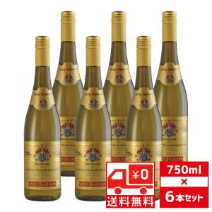 バカルディ スター オブ ボンベイ ジン 750ml 国内終売品 送料無料