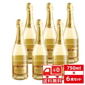 送無 セット6 トゥルヤール エレッシアム ブリュット 750ml×6本 シャンパン 送料無料｜ricaoh