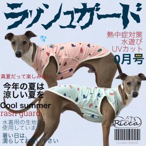 ひんやり ラッシュガードタンク UVカット 熱中症対策 水遊び