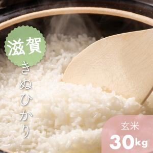 産地直送　滋賀県キヌヒカリ　玄米30k　令和４年産